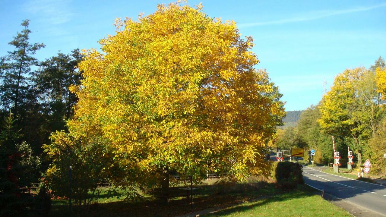 Apartmán Haus Am Teutoburgerwald Sandebeck Exteriér fotografie